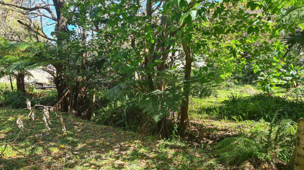 Vacant land for sale in Leisure Bay - 1PD1584367 Vacant land for sale in Leisure Bay - 1PD1584367