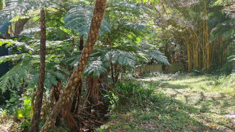 Vacant land for sale in Leisure Bay - 1PD1584370 Vacant land for sale in Leisure Bay - 1PD1584370