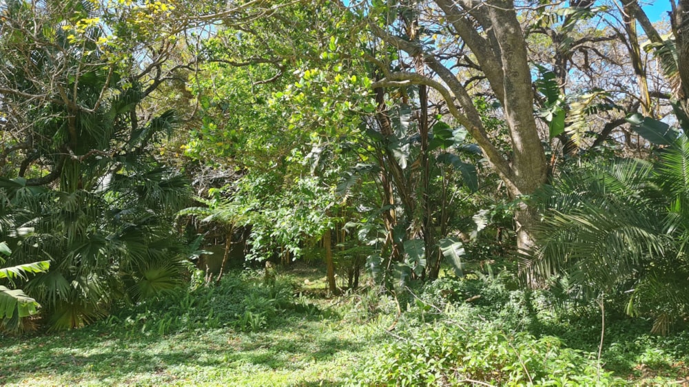 Vacant land for sale in Leisure Bay - 1PD1584370 Vacant land for sale in Leisure Bay - 1PD1584370
