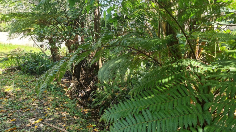 Vacant land for sale in Leisure Bay - 1PD1584370 Vacant land for sale in Leisure Bay - 1PD1584370