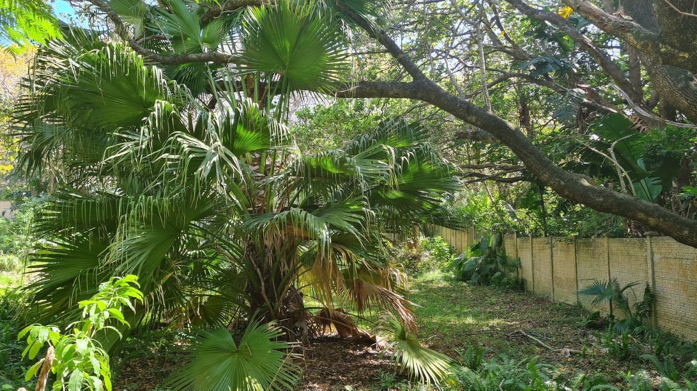 Vacant land for sale in Leisure Bay - 1PD1584370 Vacant land for sale in Leisure Bay - 1PD1584370