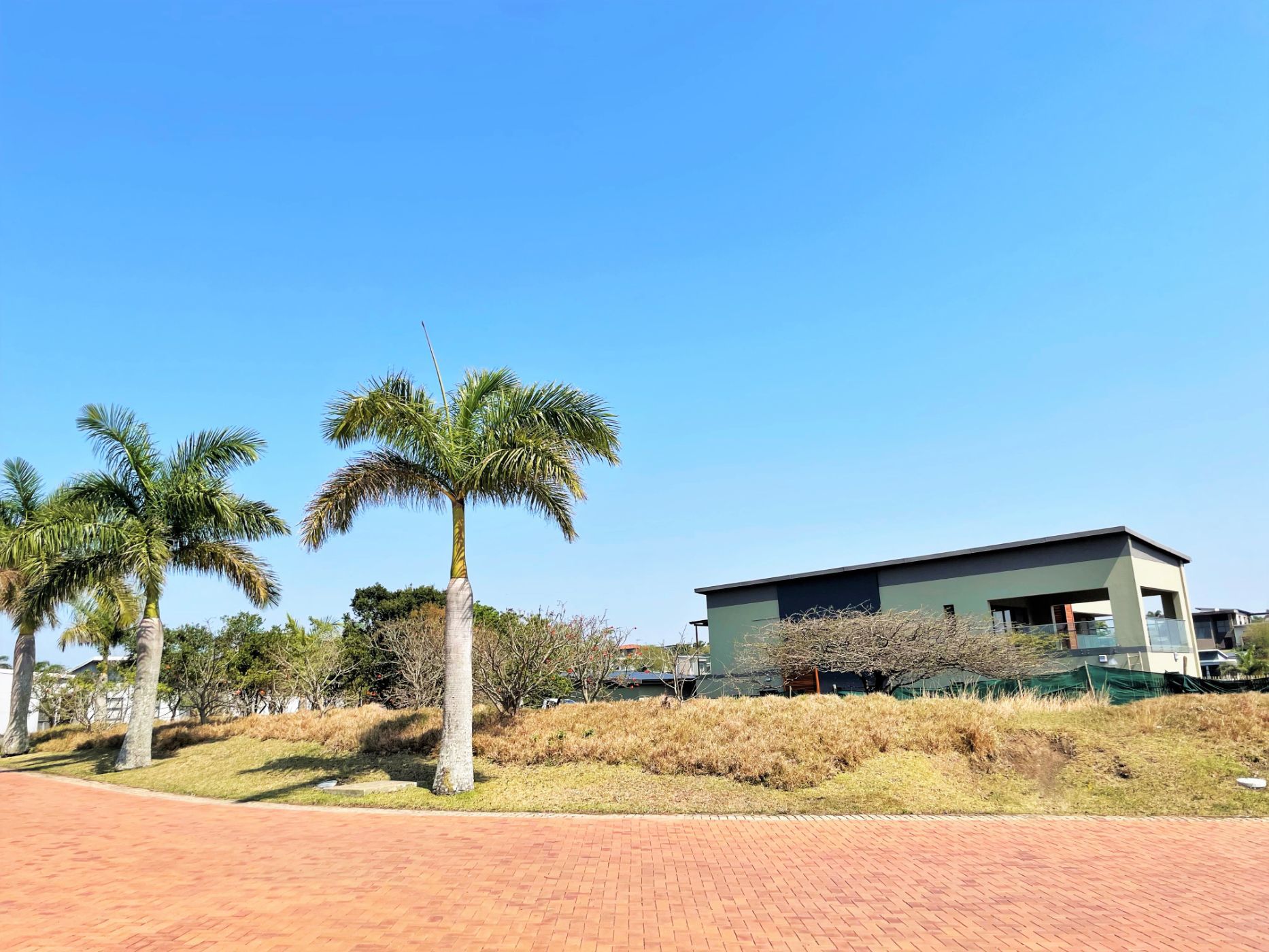 Residential vacant land for sale in Palm Lakes Estates - 1BD1585136