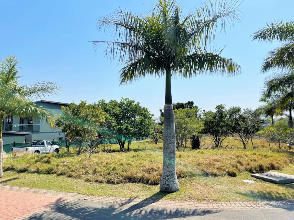 Residential vacant land for sale in Palm Lakes Estates - 1BD1585136
