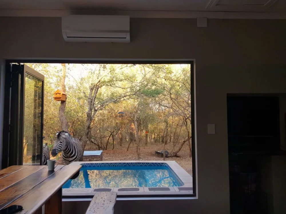 House to rent in Marloth Park - 1NK1657096 House to rent in Marloth Park - 1NK1657096