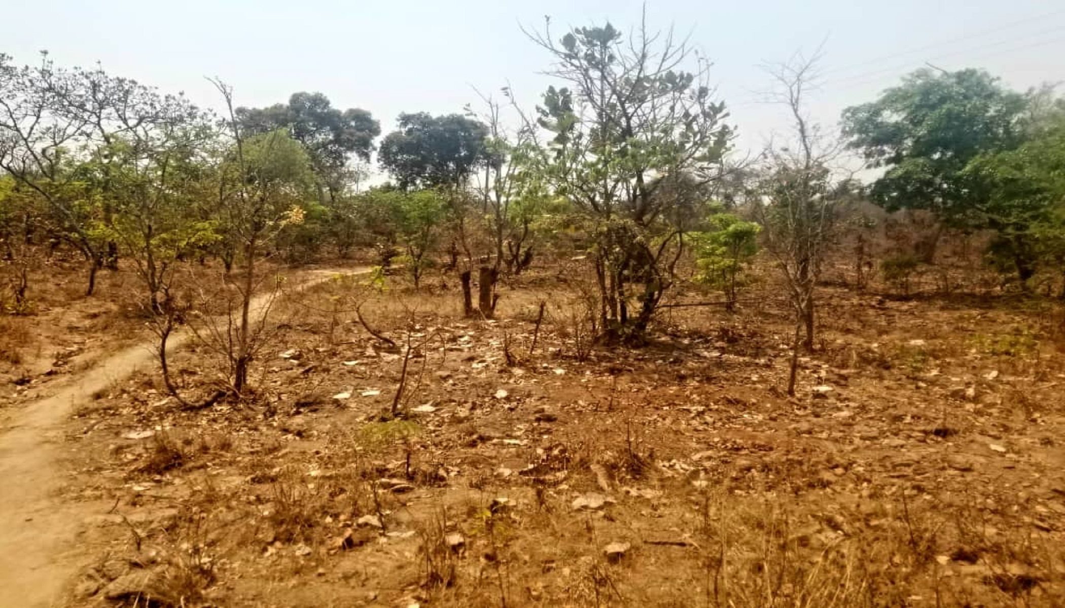 Vacant land for sale in Chongwe, Zambia - 3ZA1550156