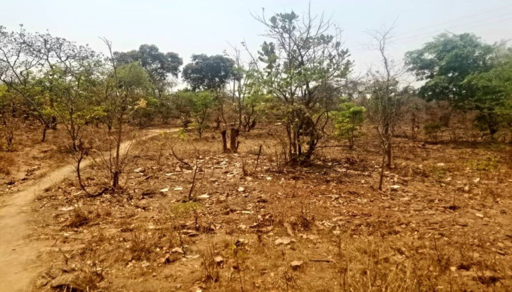 Vacant land for sale in Chongwe, Zambia - 3ZA1550156