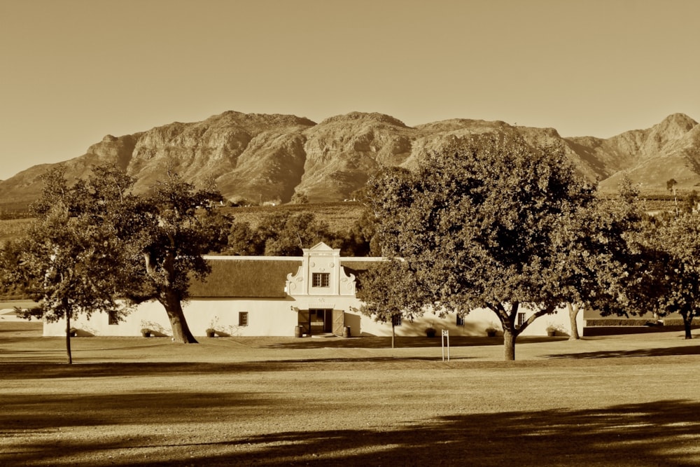 Wine farm sold in Stellenbosch Farms - ST1588575 Wine farm sold in Stellenbosch Farms - ST1588575