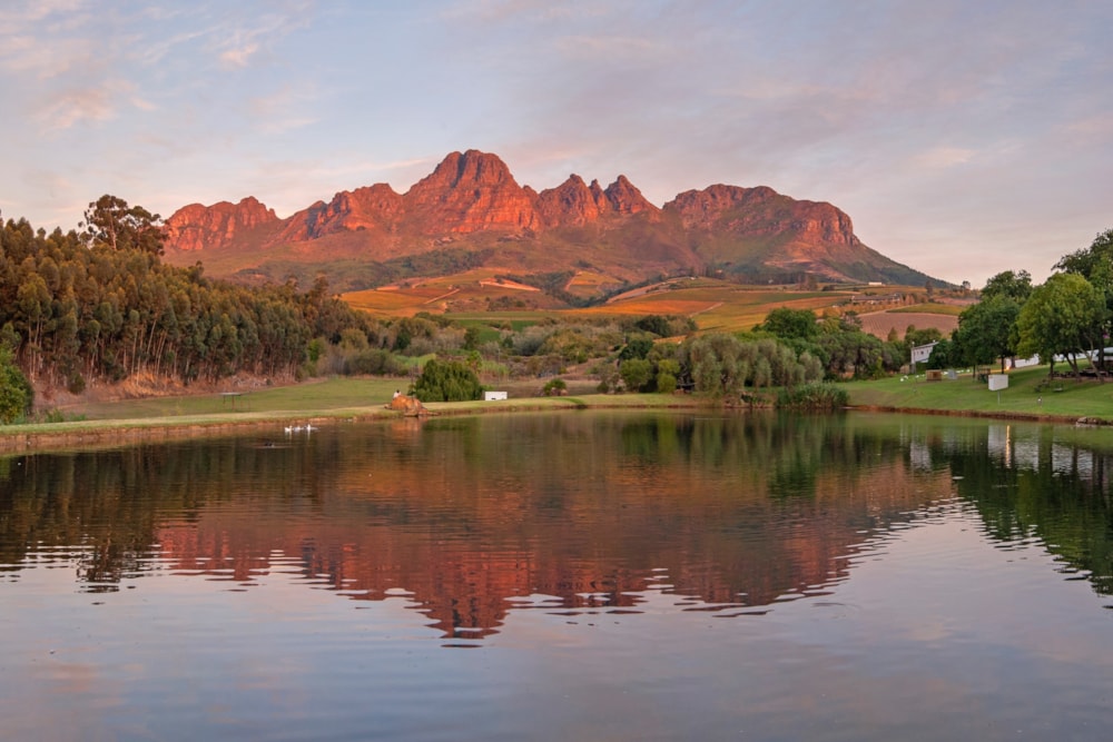 Wine farm sold in Stellenbosch Farms - ST1588575 Wine farm sold in Stellenbosch Farms - ST1588575