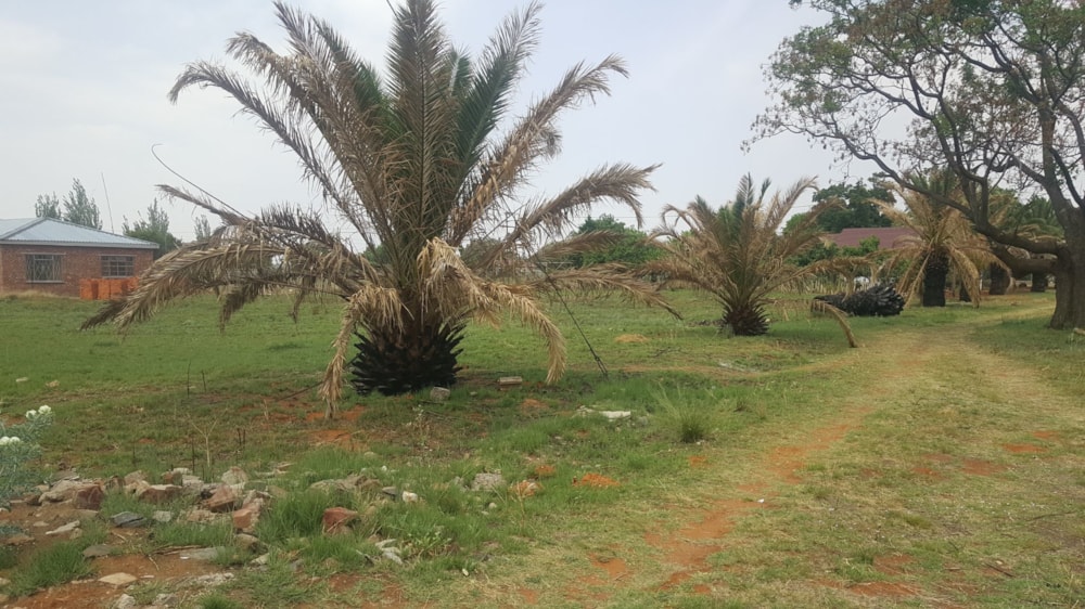 Vacant land for sale in Petrusburg - 1KJ1566602 Vacant land for sale in Petrusburg - 1KJ1566602