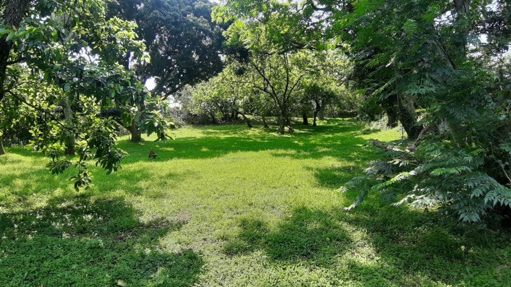 Vacant land for sale in Sea Park, Umtentweni - 1PX1589620 Vacant land for sale in Sea Park, Umtentweni - 1PX1589620