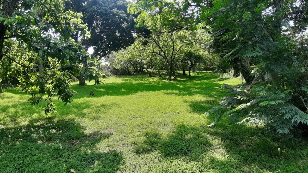 Vacant land for sale in Sea Park, Umtentweni - 1PX1589620 Vacant land for sale in Sea Park, Umtentweni - 1PX1589620