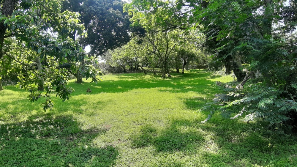 Vacant land for sale in Sea Park, Umtentweni - 1PX1589620 Vacant land for sale in Sea Park, Umtentweni - 1PX1589620