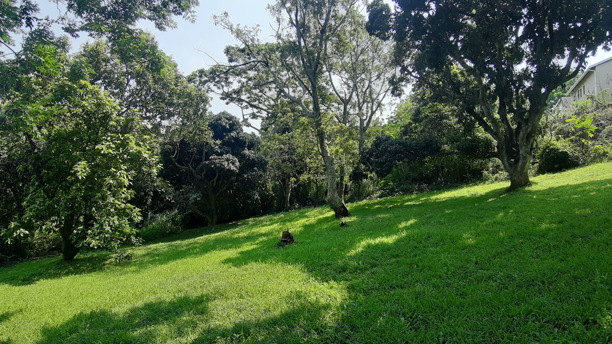 Vacant land for sale in Sea Park, Umtentweni - 1PX1589620