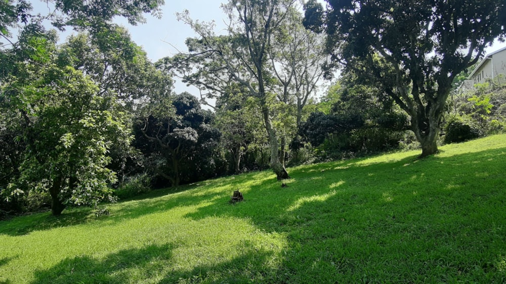 Vacant land for sale in Sea Park, Umtentweni - 1PX1589620 Vacant land for sale in Sea Park, Umtentweni - 1PX1589620