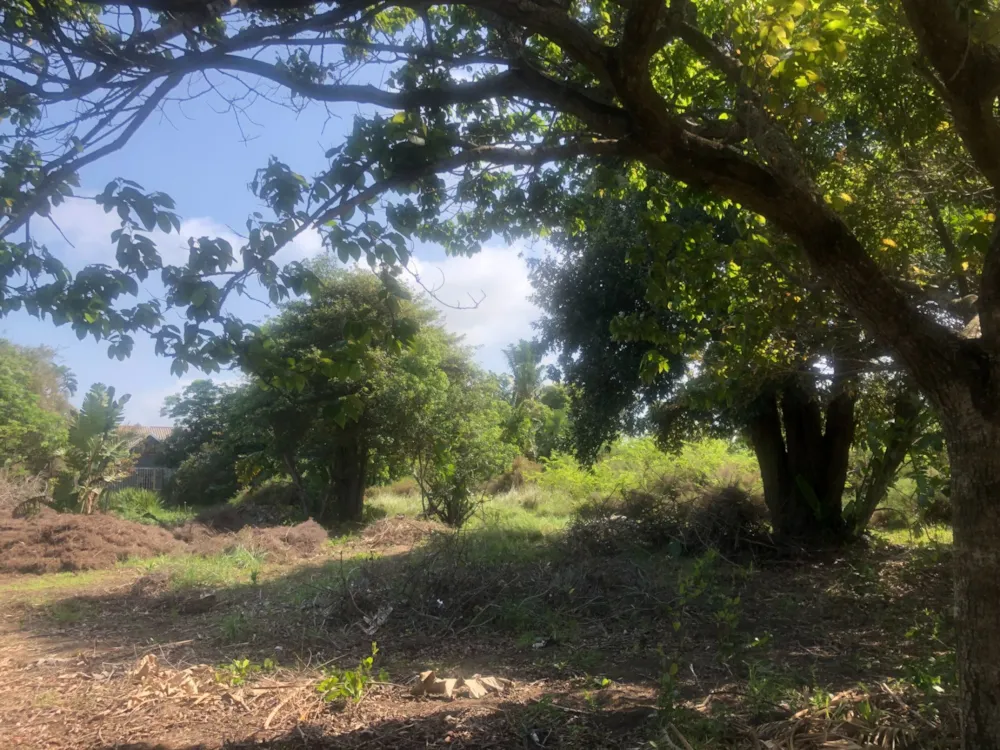 Residential vacant land for sale in Banners Rest - 1PD1588450 Residential vacant land for sale in Banners Rest - 1PD1588450