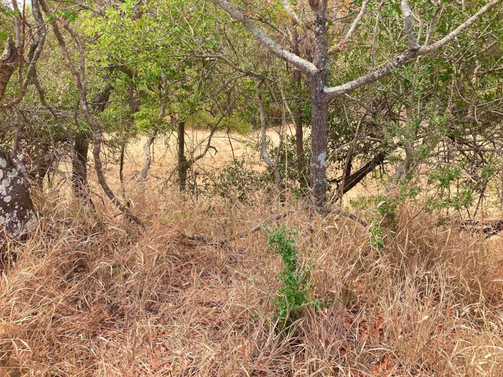 Vacant land for sale in Moditlo Nature Reserve - 1HS1639206