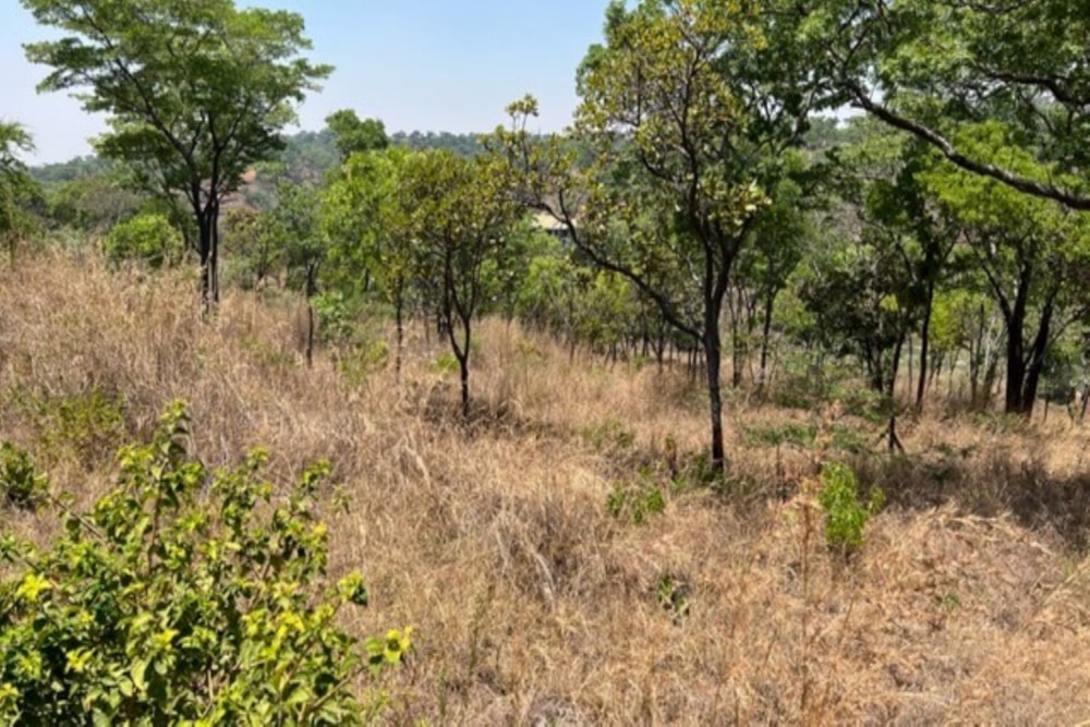 Vacant land for sale in Shawasha Hills, Zimbabwe - 3ZB1588965