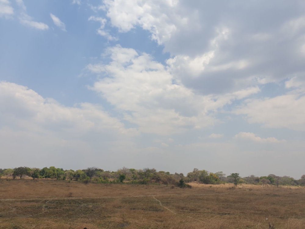 Vacant land for sale in Mumbwa, Zambia - 3ZA1589311