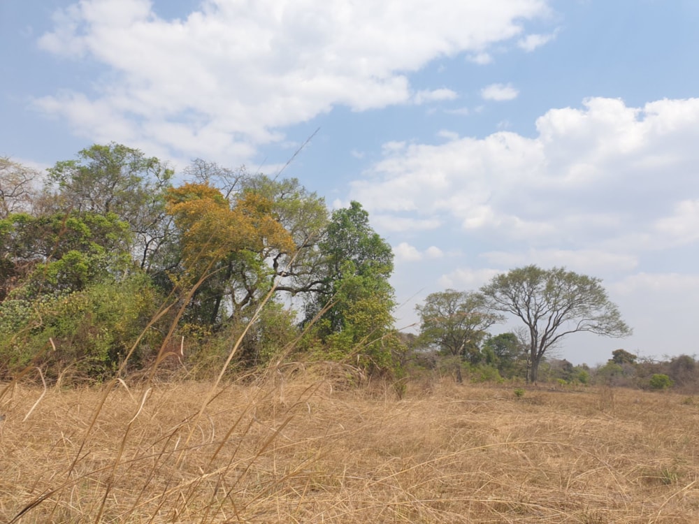 Vacant land for sale in Mumbwa, Zambia - 3ZA1589311