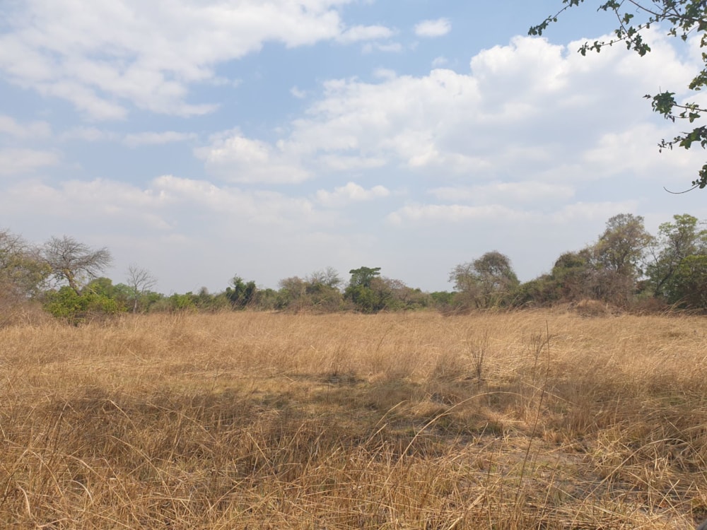 Vacant land for sale in Mumbwa, Zambia - 3ZA1589311
