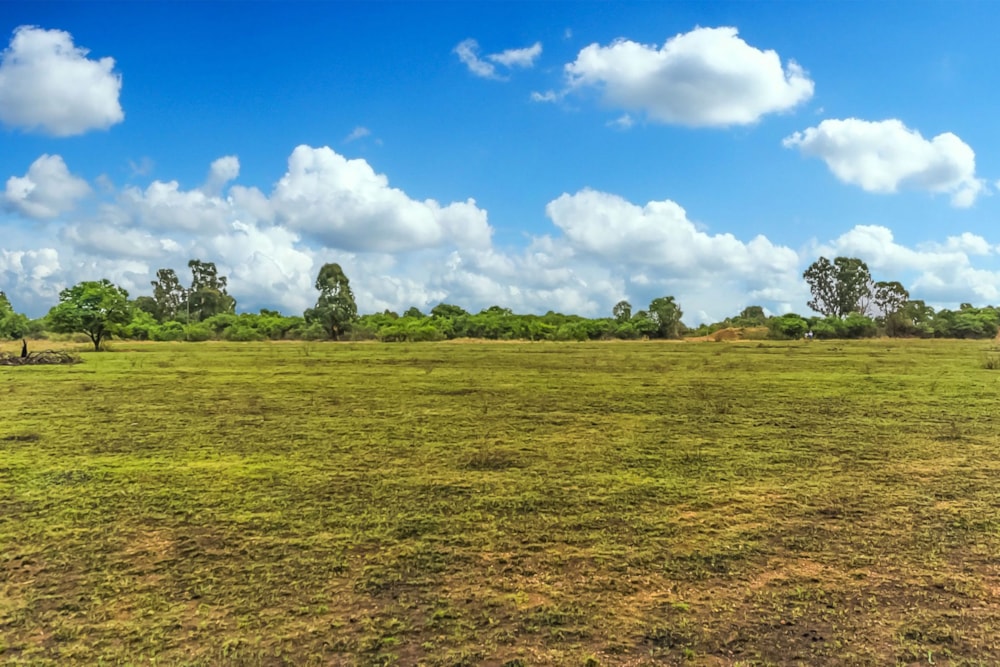 Residential vacant land for sale in Letamo Game Farm - 1KR1707304
