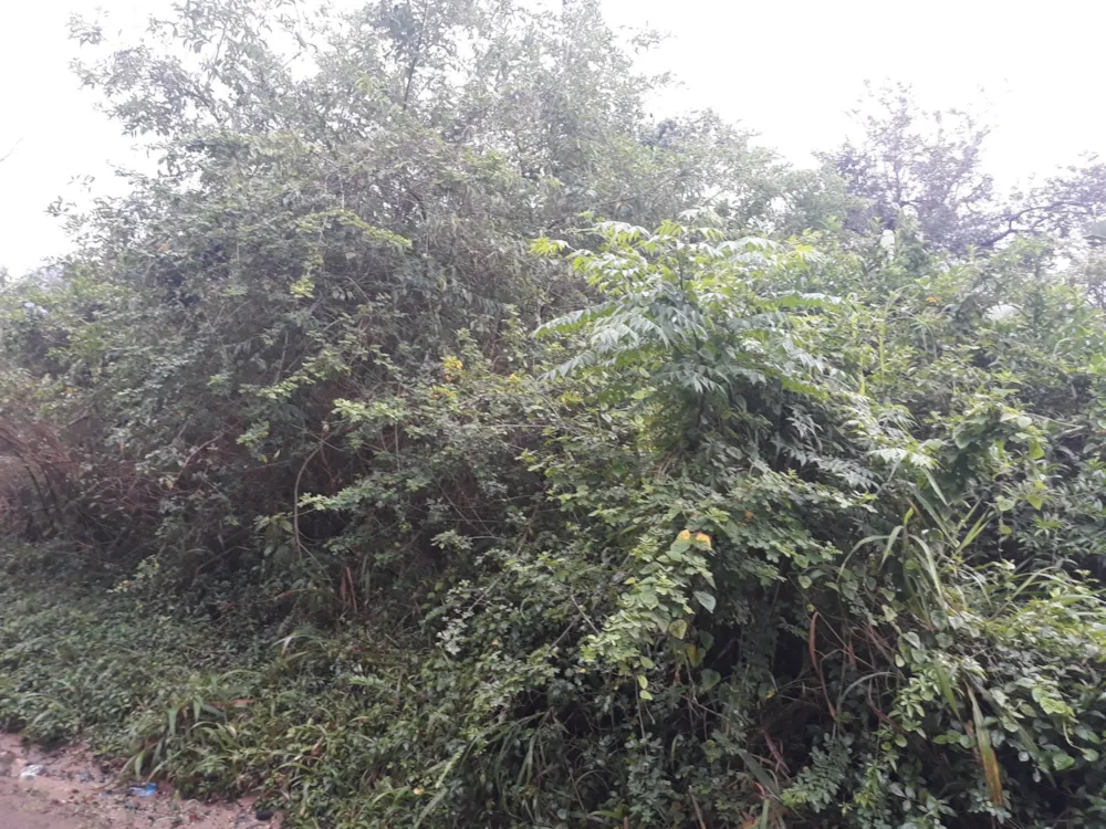 Residential vacant land for sale in Ramsgate - 1PD1589459 Residential vacant land for sale in Ramsgate - 1PD1589459