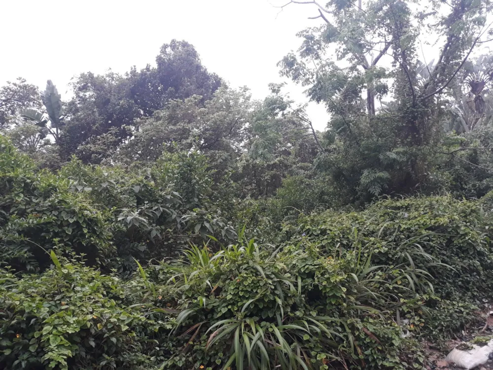 Residential vacant land for sale in Ramsgate - 1PD1589459 Residential vacant land for sale in Ramsgate - 1PD1589459