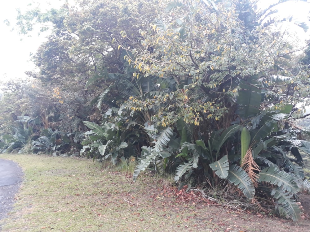 Residential vacant land for sale in Southbroom - 1PD1589493