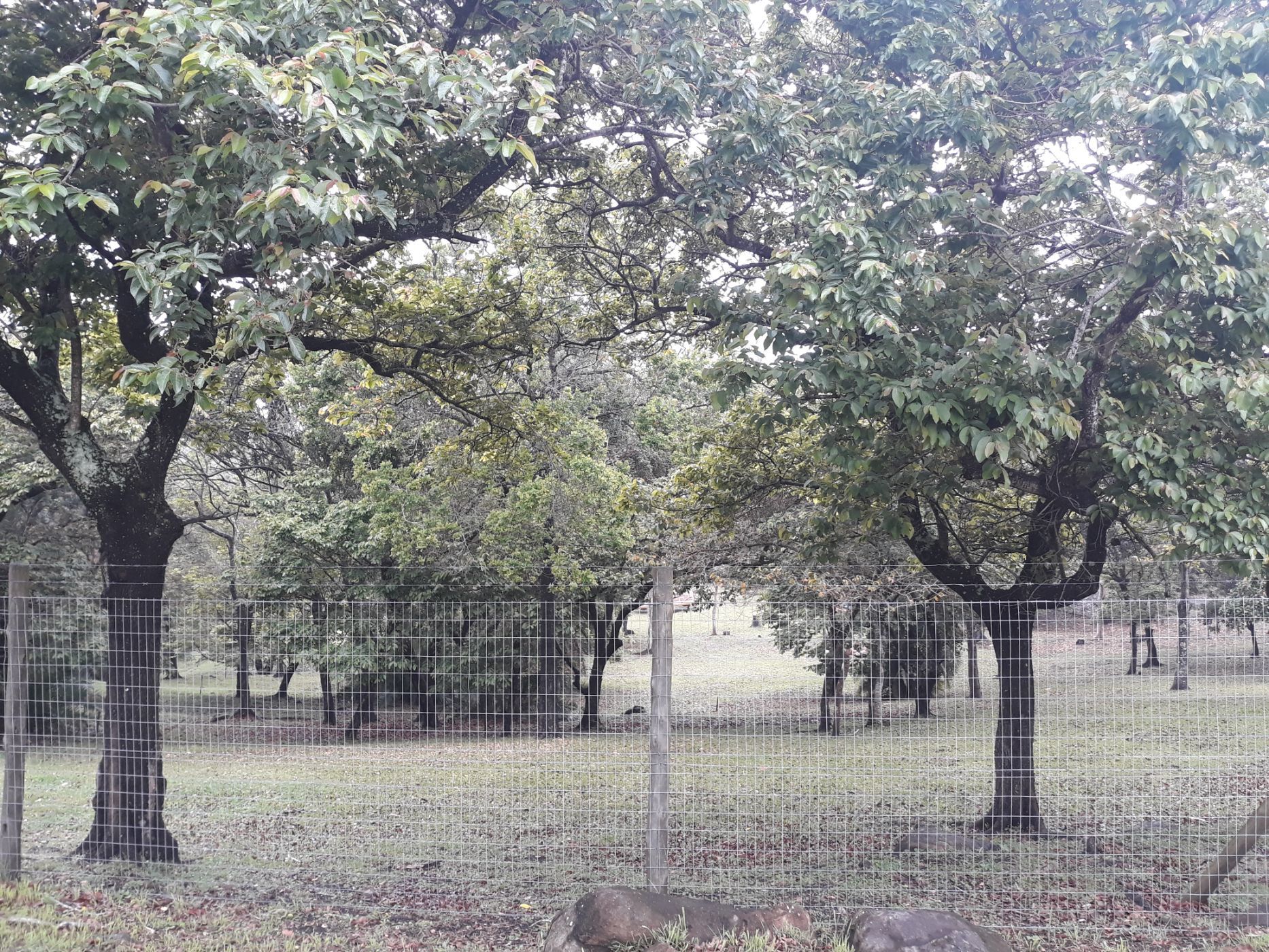 Residential vacant land for sale in Southbroom - 1PD1589493