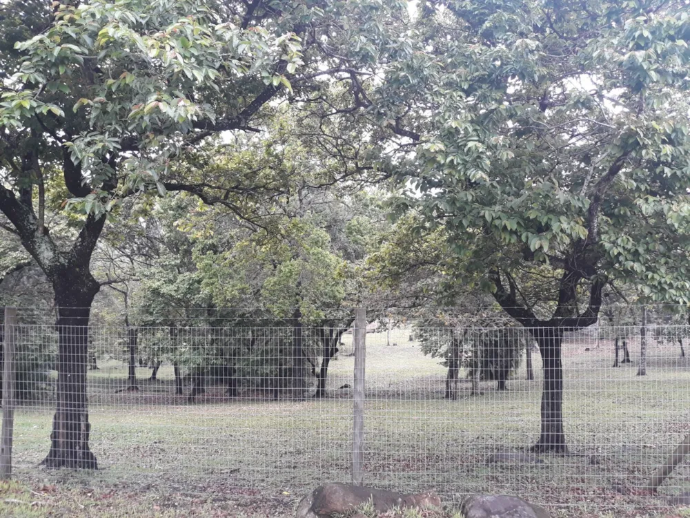 Residential vacant land for sale in Southbroom - 1PD1589493 Residential vacant land for sale in Southbroom - 1PD1589493