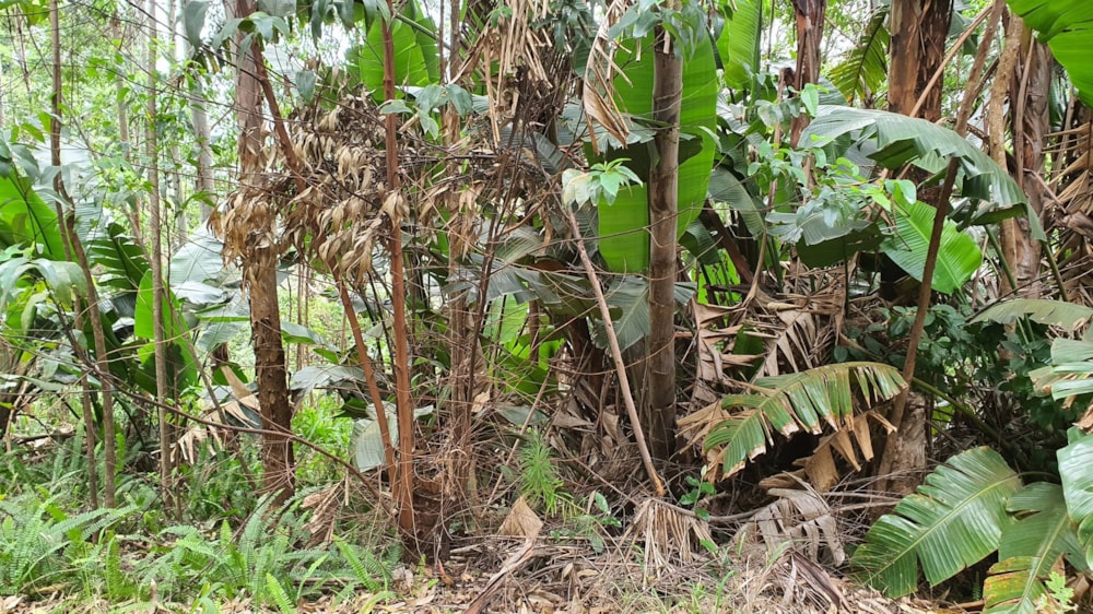 Residential vacant land for sale in Marina Beach - 1PD1589600