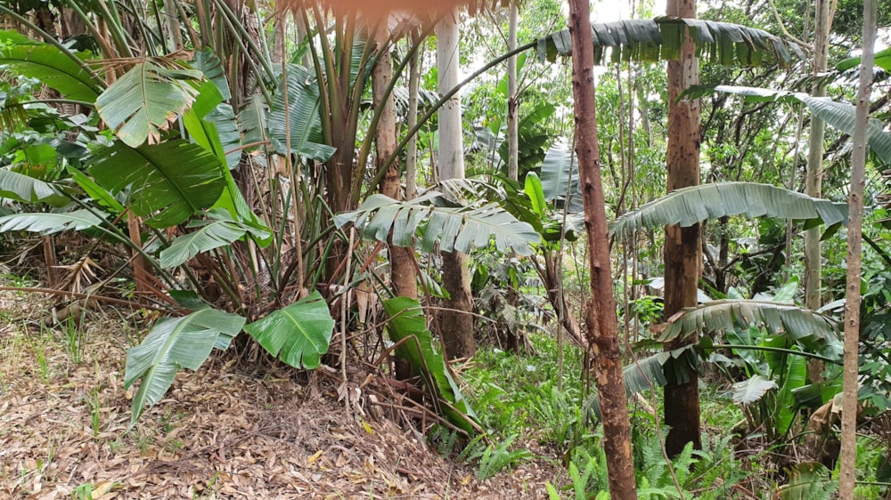 Residential vacant land for sale in Marina Beach - 1PD1589600 Residential vacant land for sale in Marina Beach - 1PD1589600