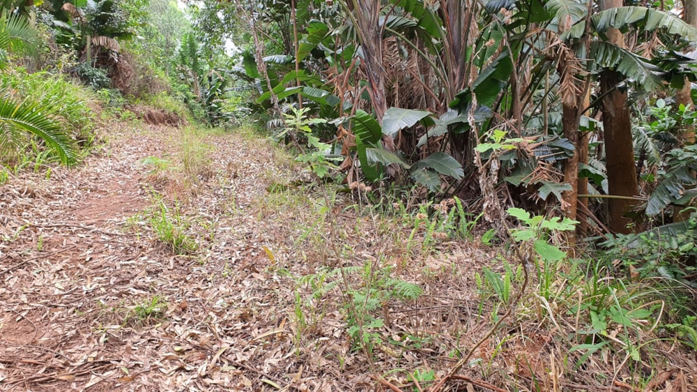 Residential vacant land for sale in Marina Beach - 1PD1589600 Residential vacant land for sale in Marina Beach - 1PD1589600