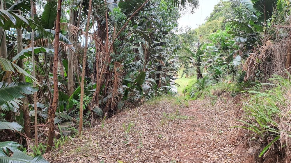 Residential vacant land for sale in Marina Beach - 1PD1589600 Residential vacant land for sale in Marina Beach - 1PD1589600