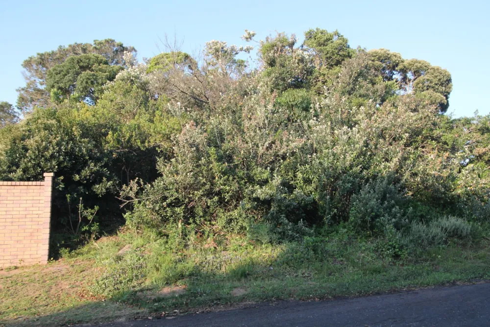 Residential vacant land for sale in Seafield, Kleinemonde - 1PF1696204 Residential vacant land for sale in Seafield, Kleinemonde - 1PF1696204