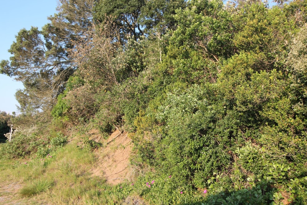 Residential vacant land for sale in Seafield, Kleinemonde - 1PF1696204