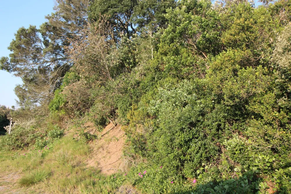 Residential vacant land for sale in Seafield, Kleinemonde - 1PF1696204 Residential vacant land for sale in Seafield, Kleinemonde - 1PF1696204