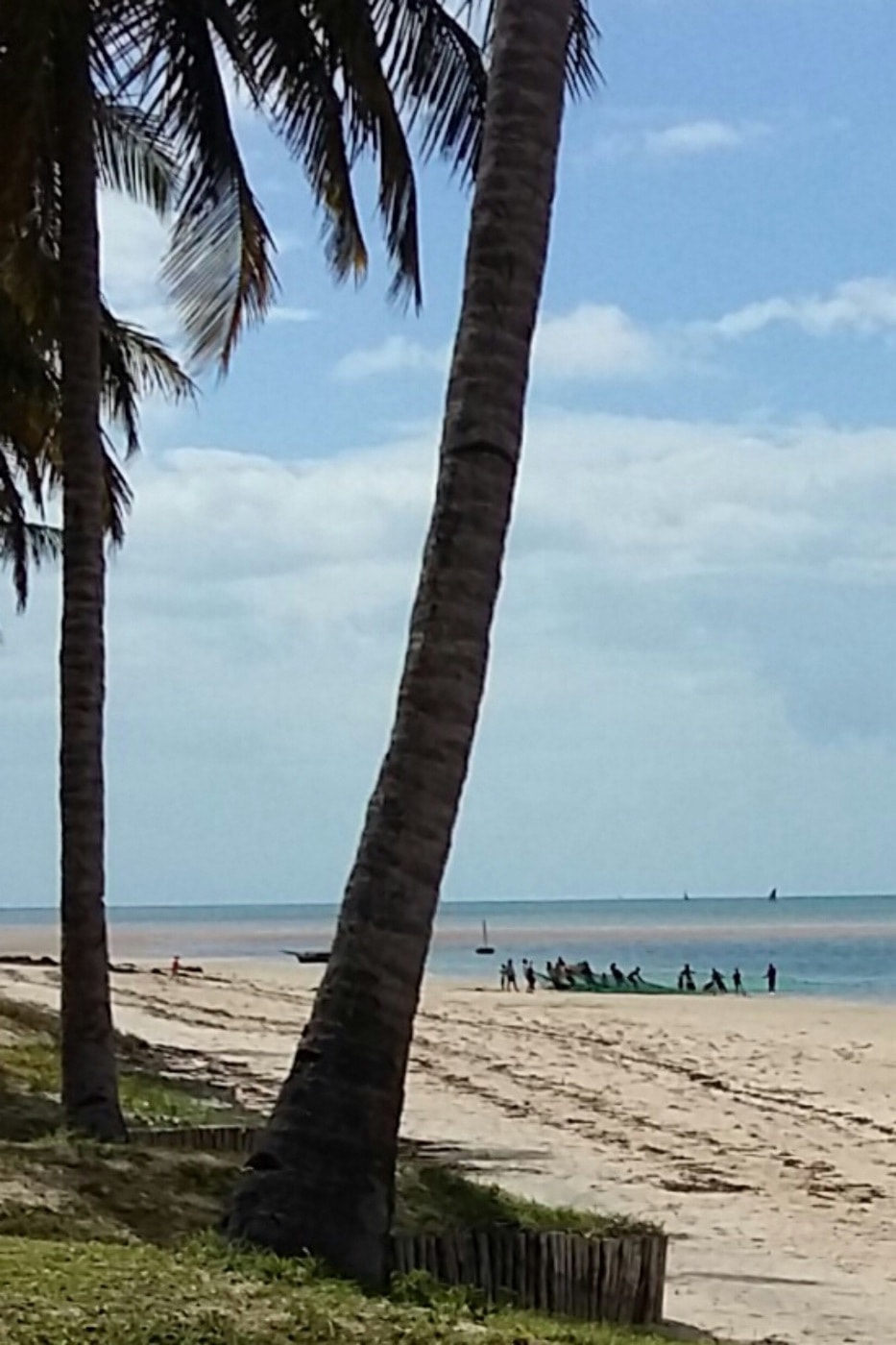 Vacant land for investment in Inhassoro, Mozambique - 3MQ1590005 Vacant land for investment in Inhassoro, Mozambique - 3MQ1590005