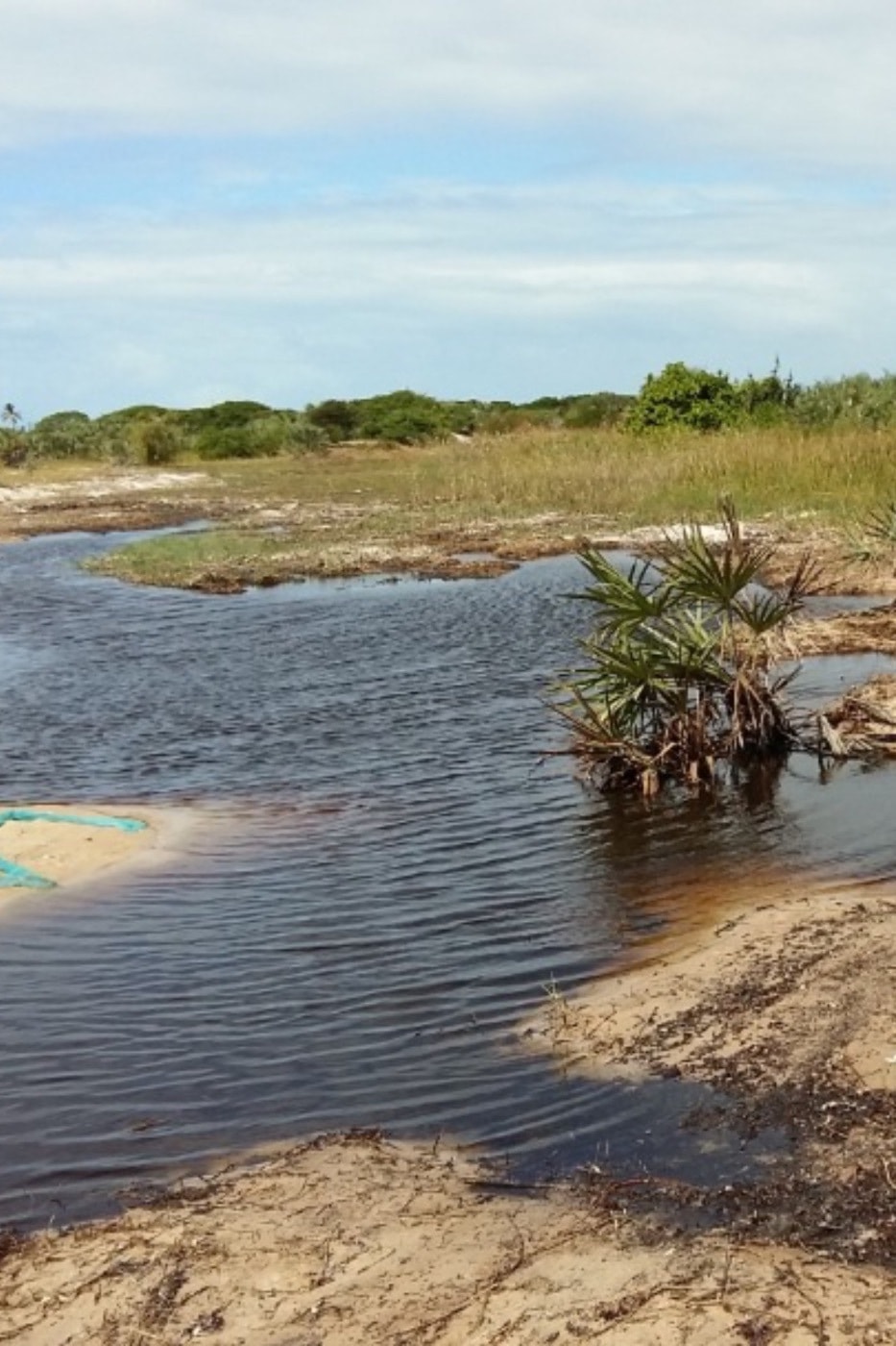 Vacant land for investment in Inhassoro, Mozambique - 3MQ1590005 Vacant land for investment in Inhassoro, Mozambique - 3MQ1590005