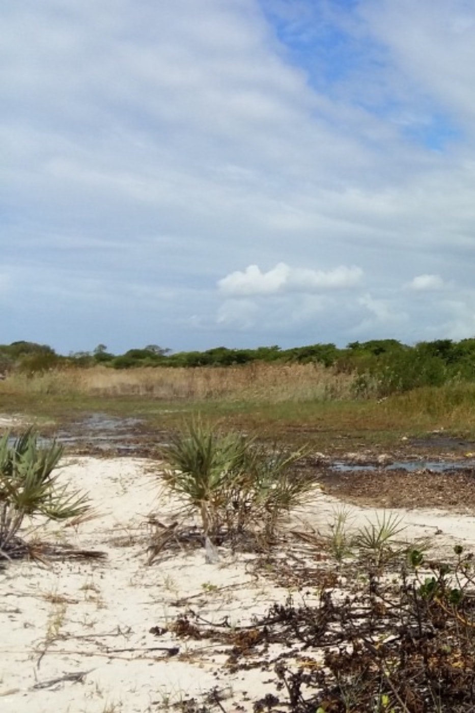 Vacant land for investment in Inhassoro, Mozambique - 3MQ1590005 Vacant land for investment in Inhassoro, Mozambique - 3MQ1590005