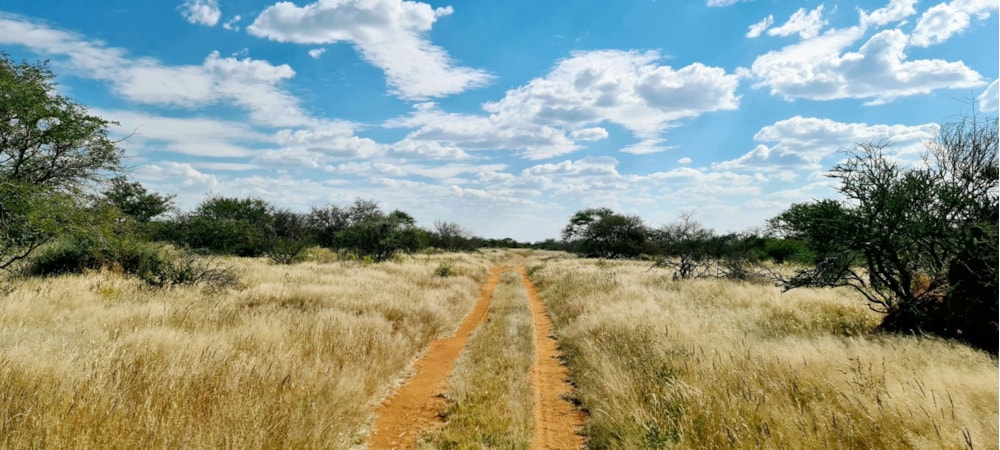 Mixed use farm for sale in Otjiwarongo, Namibia - 3NM1590067 Mixed use farm for sale in Otjiwarongo, Namibia - 3NM1590067