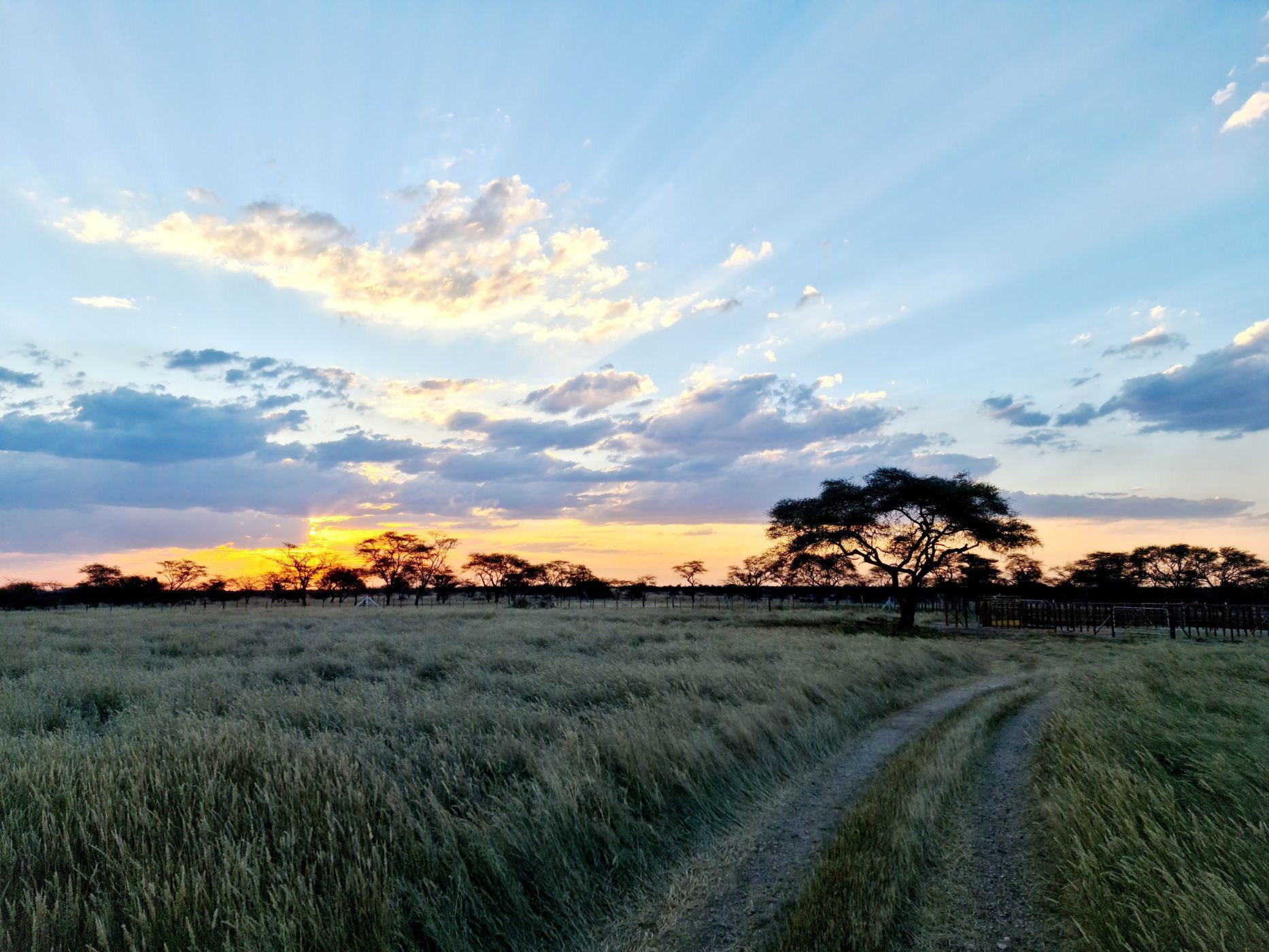 Mixed use farm for sale in Otjiwarongo, Namibia - 3NM1590067