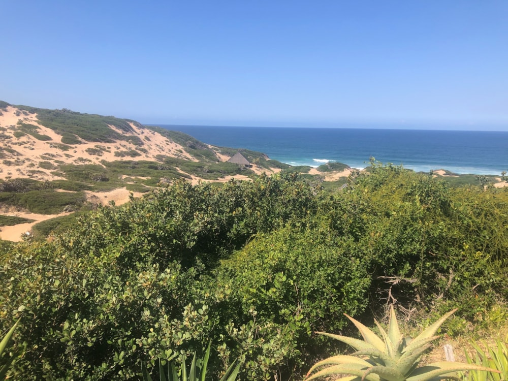 Vacant land for investment in Inharrime, Mozambique - 3MQ1590541