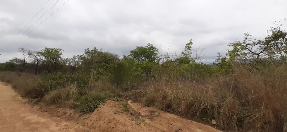 Farm vacant land for sale in Letsitele - 1TA1590951