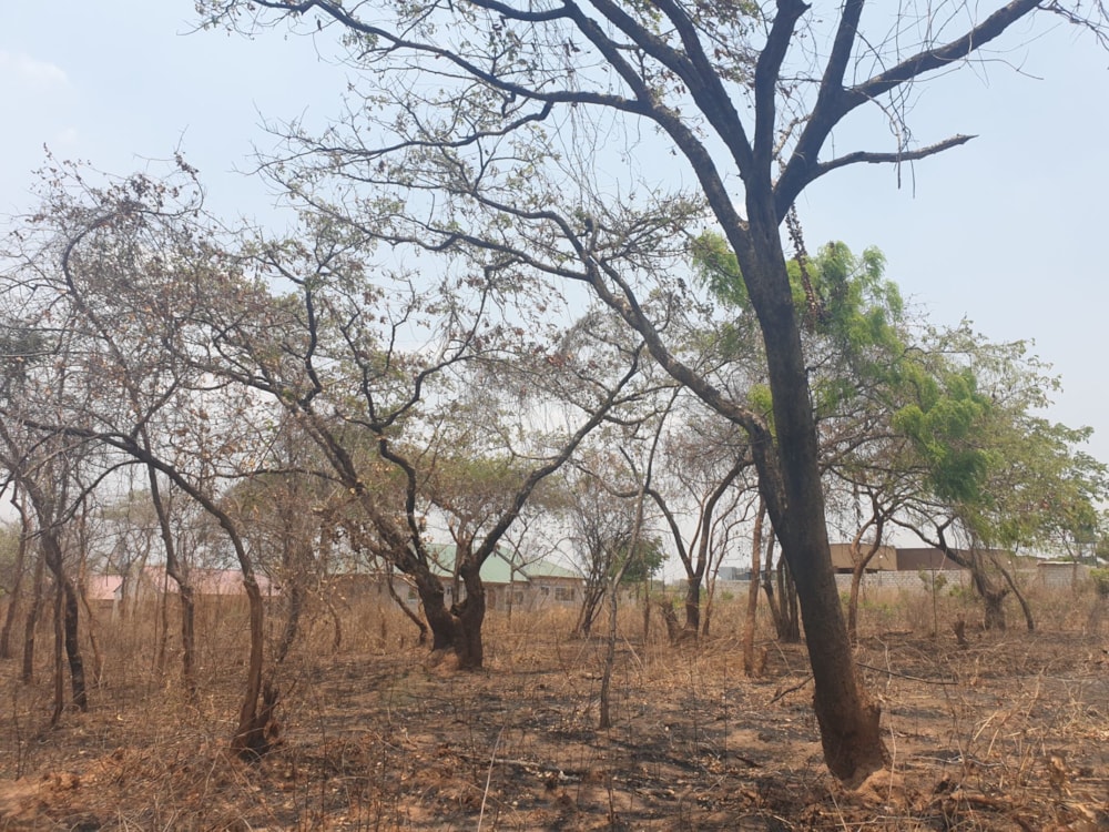 Vacant land for sale in Palabana, Zambia - 3ZA1591269