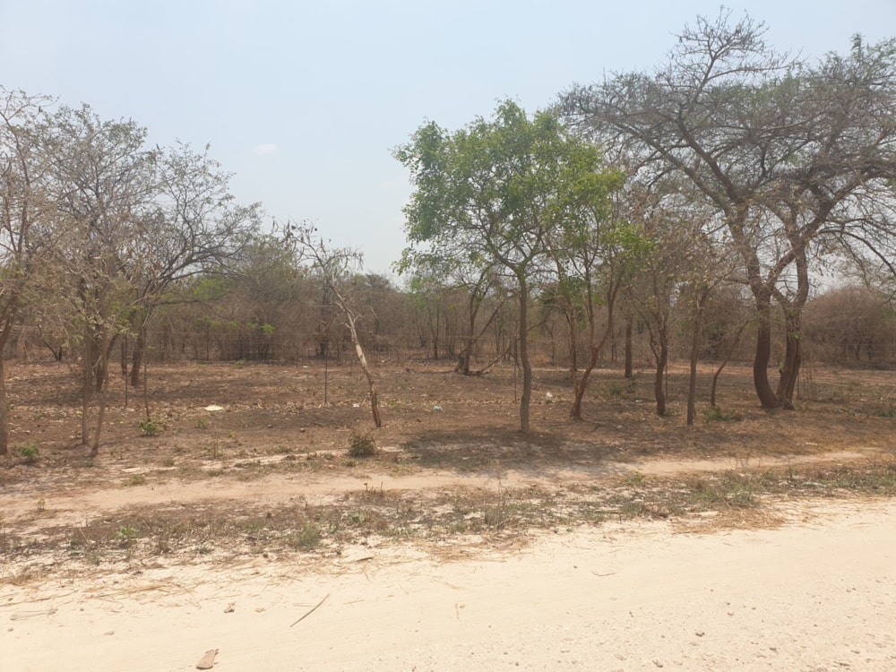 Vacant land for sale in Palabana, Zambia - 3ZA1591269