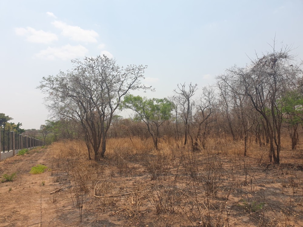 Vacant land for sale in Palabana, Zambia - 3ZA1591269