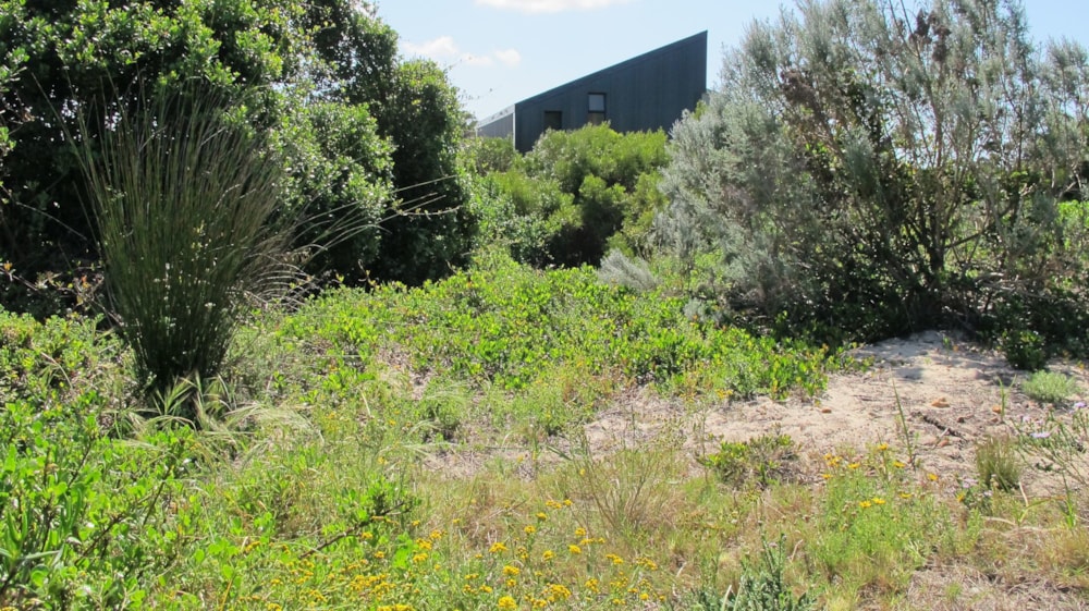 Vacant land for sale in Paradise Beach, Jeffreys Bay - 1JF1149872 Vacant land for sale in Paradise Beach, Jeffreys Bay - 1JF1149872