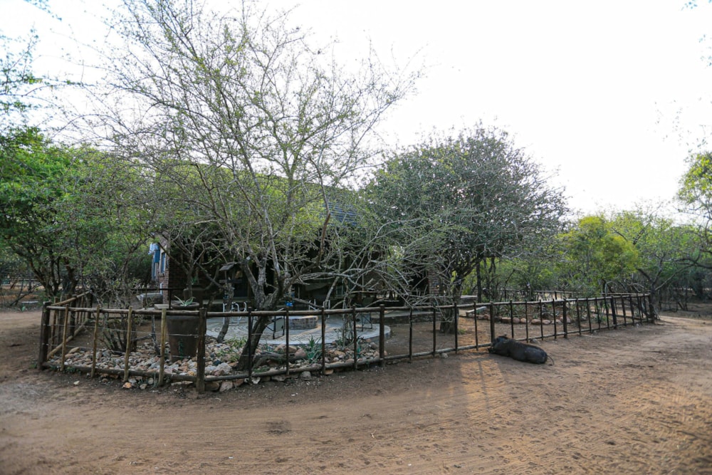 House to rent in Marloth Park - 1NK1658374