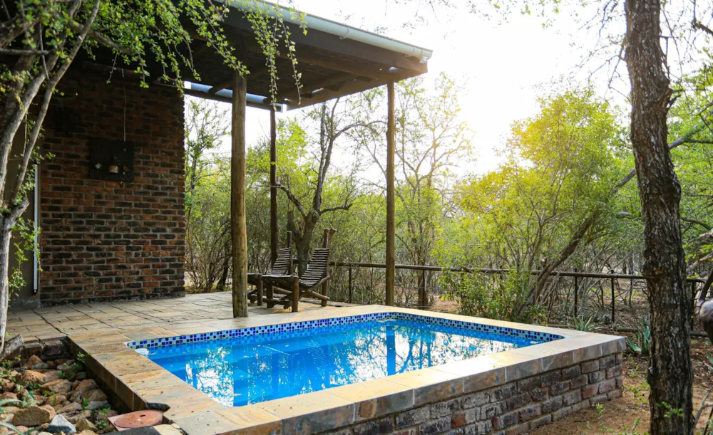House to rent in Marloth Park - 1NK1658374 House to rent in Marloth Park - 1NK1658374